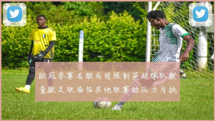 欧冠参赛名额或将限制英超球队数量欧足联面临其他联赛的压力与挑战